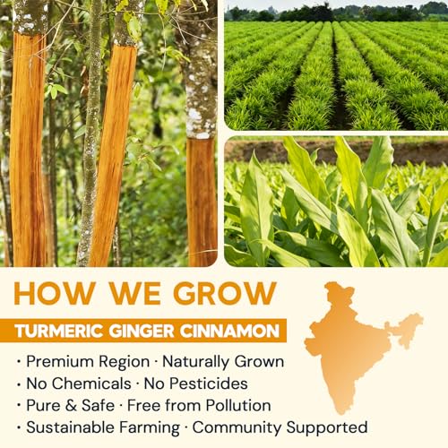 Turmeric Ginger Cinnamon Herbal Tea Bags - 120 Count, Caffeine-Free