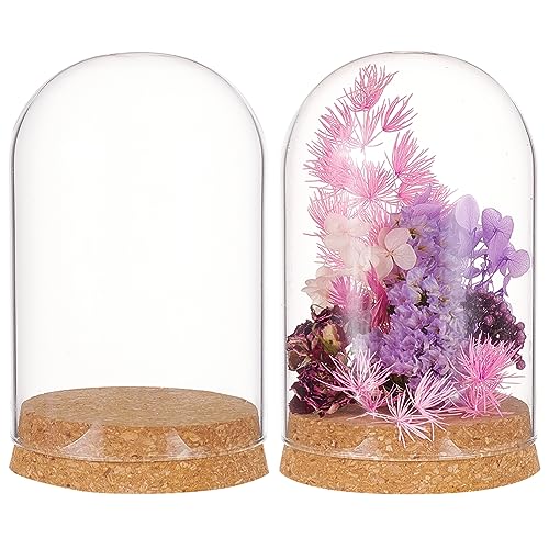 BENECREAT Set of 2 Glass Display Domes with Cork Base - 3.14x4.6 inch Cloche Jars for Flowers & Crafts