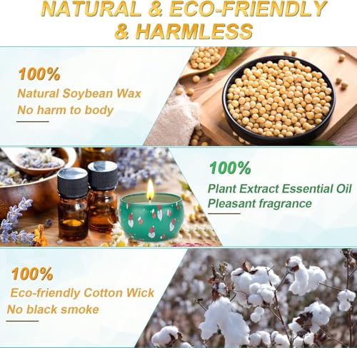 Christmas Scented Candles Gift Set - 12 Natural Soy Wax Aromatherapy Candles