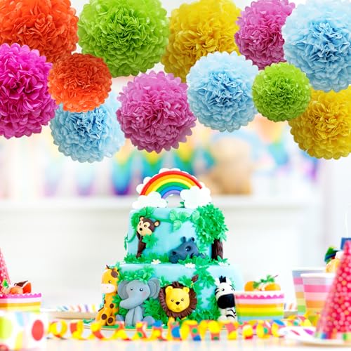 Colorful Tissue Paper Pom Poms - 12Pcs Fiesta Party Decorations