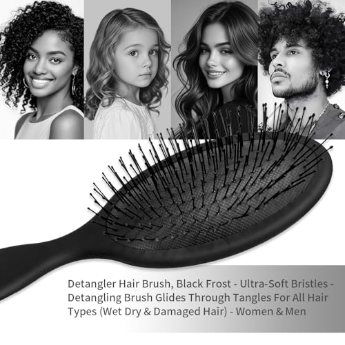 Detangler Hair Brush for Wet & Dry Hair - Curly & Straight