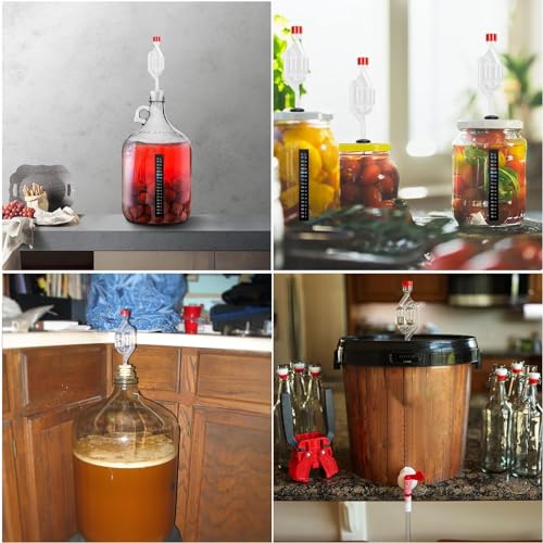 6 Pack Twin Bubble Airlocks for Homebrewing & Fermentation