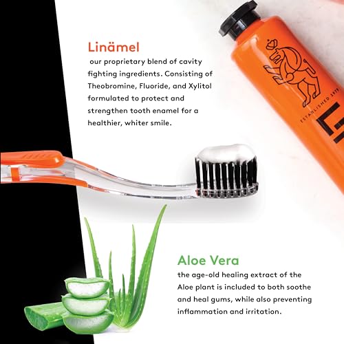 LINHART Travel Toothpaste 1 oz (Pack of 3) - Gentle Formula for Sensitive Teeth, Fresh Mint Flavor