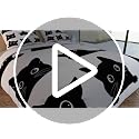Feelyou Black Cat Fleece Blanket for Kids - Super Soft 30x40