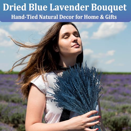 2 Bundles of Premium Preserved Blue Lavender Flowers - 17" Aromatic Stems for Home Decor & Crafts