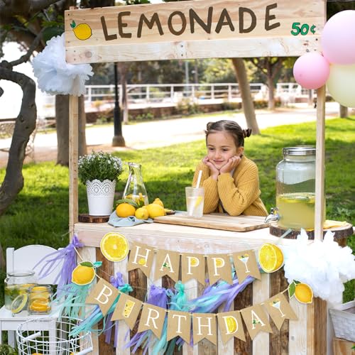 Lemon Happy Birthday Banner | Pre-Assembled Summer Party Decor