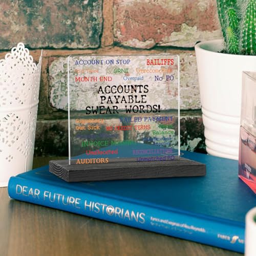 Funny Accountant Acrylic Desk Plaque | Office Humor Gift for AP Teams