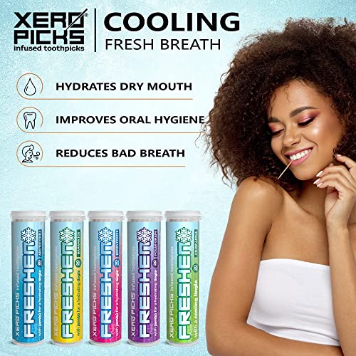 Xero Picks Freshen Infused Flavored Toothpicks - Cooling Breath Freshener, 100 Picks, 5-Pack Variety