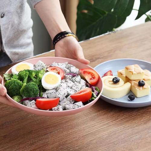 K Y KANGYUN 10 Inch Unbreakable Wheat Straw Dinner Plates Set of 4
