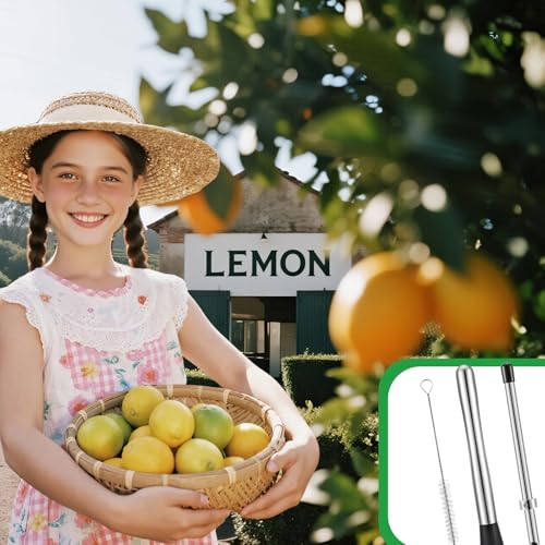 Stainless Steel Muddler and Straw Puncher Set for Cocktails