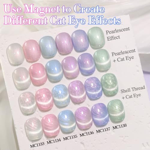 Double Rhythm 6-Color Cat Eye Gel Nail Polish Set with Magnetic Tool