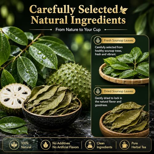WOTIHA Premium Soursop Tea Bags - 100% Natural Graviola Leaves, 65 Count