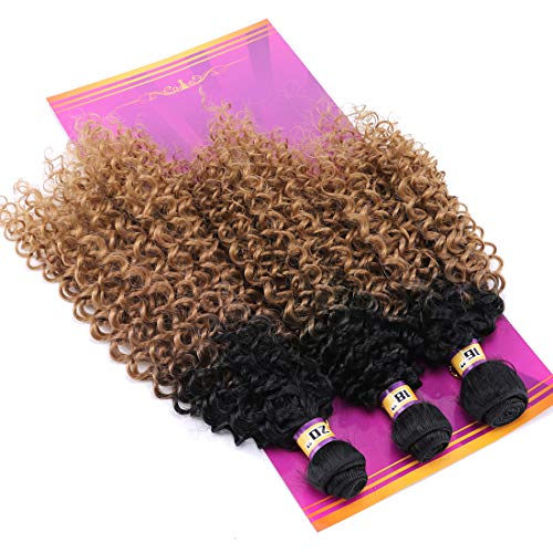 REYNA Golden Ombre Afro Kinky Curly Hair Bundles - 3 Piece Set (16/18/20 Inches)
