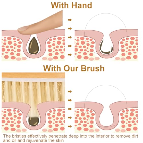 9.8" Natural Bristle Body Brush with Anti-Slip Handle