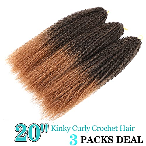 TATOUS 20 Inch Deep Twist Braiding Hair Extensions 3 Packs Afro Kinky Curly Crochet