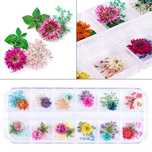 KISSBUTY Dried Flower Nail Art Kit – 2 Boxes, 24 Colors Mini Real Flowers & Leaves