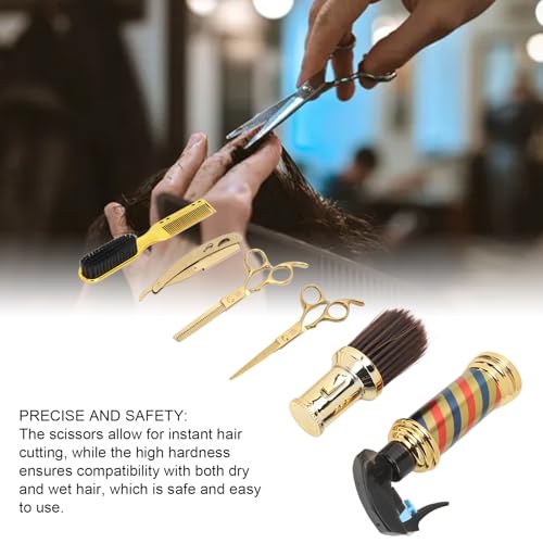Professional Hair Cutting Scissors Set with Thinning Scissors & Accessories