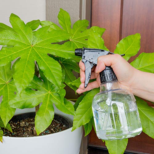 Youngever 12 oz Spray Bottles Pack – 6 Clear & Black Travel-Size Refillable Containers