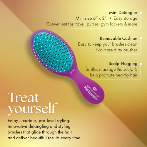 Olivia Garden Aurora Detangler Brush Purple Mini – Wet & Dry Hair, Fine to Medium