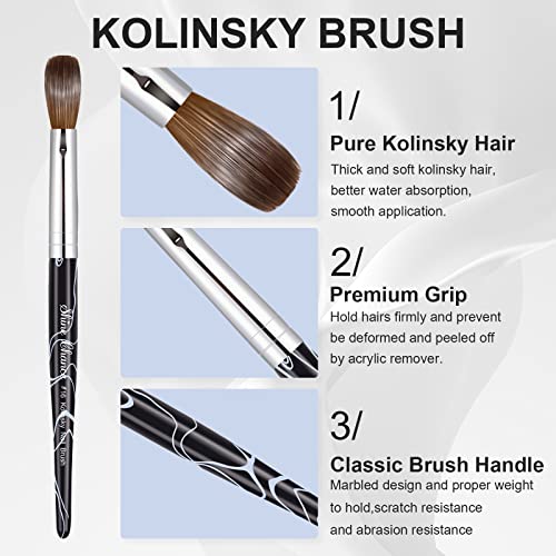 Shine Chance Size 16 Kolinsky Acrylic Nail Brush, Oval Professional Manicure Tool