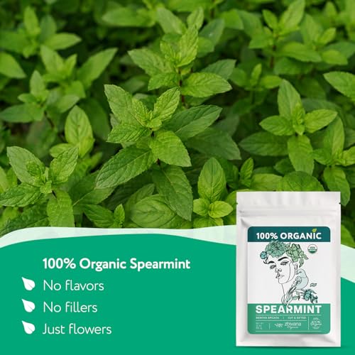 Organic Spearmint Tea Loose Leaf 3 oz - Digestive & Hormonal Support