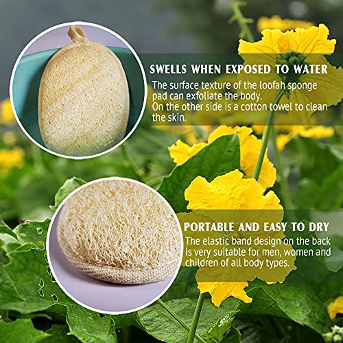 Natural Egyptian Loofah Body Scrubber 2 Pack - Exfoliating Bath Sponge