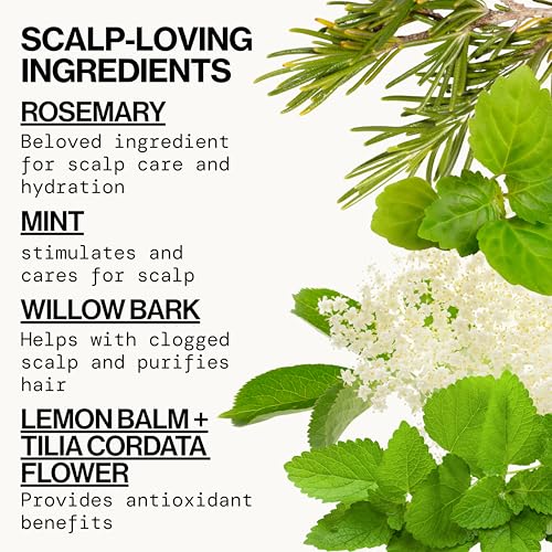 Pacifica Rosemary Purify Clarifying Shampoo - 12 Fl Oz (Pack of 2)