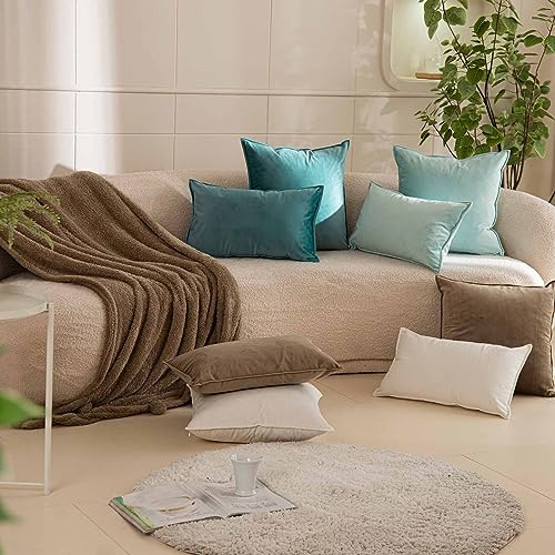 Velvet Decorative Pillow Covers Set of 2 with Hidden Zipper