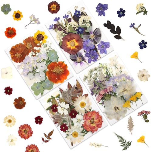 LUXEEASE Vintage Pastel Dried Pressed Flowers for Crafts