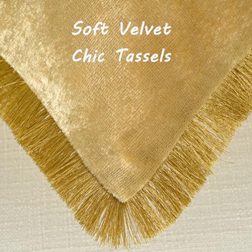 FUTEI Pack of 2 Velvet Throw Pillow Covers 18x18 Inch with Tassels