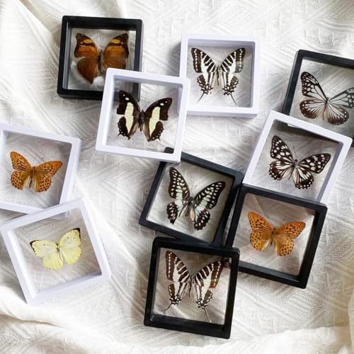 12PCS Stackable 3D Floating Jewelry Display Box - Black
