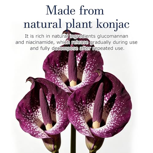 5-Pack Natural Konjac Baby Bath Sponges - Gentle Exfoliating Shapes