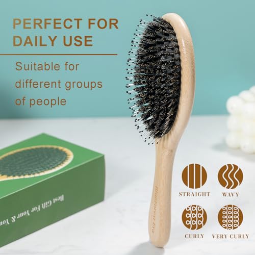 BlueForest Era Wood Hair Brush - Boar Bristle & Nylon Paddle Brush for All Hair Types