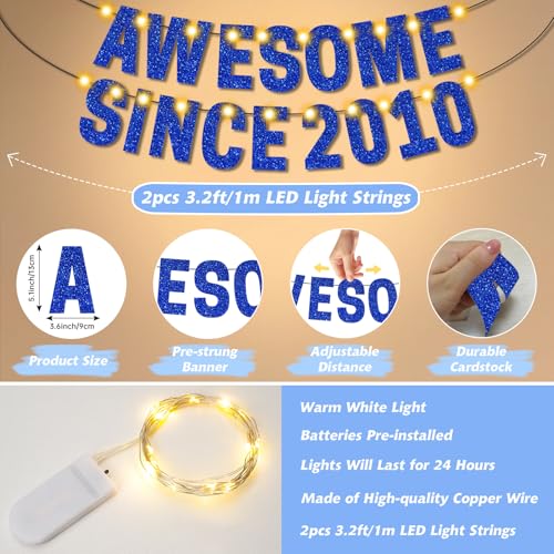 16th Birthday Decorations with LED Lights - Awesome Since 2010 Banner