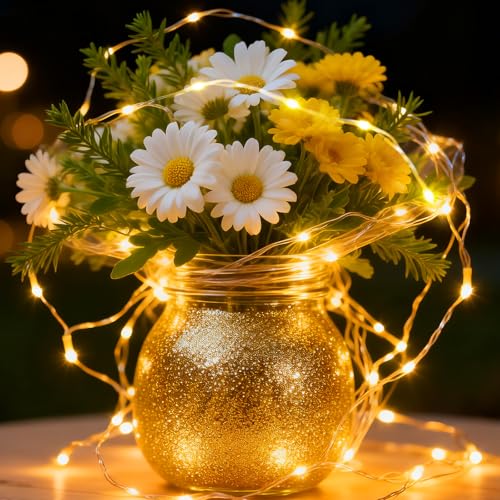 USB Fairy String Lights with Remote - 50 LED 16ft Waterproof