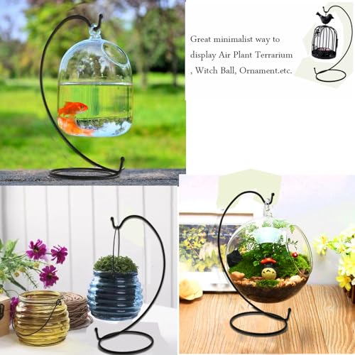 6 PCS Black Iron Ornament Display Stands for Air Plants & Decor