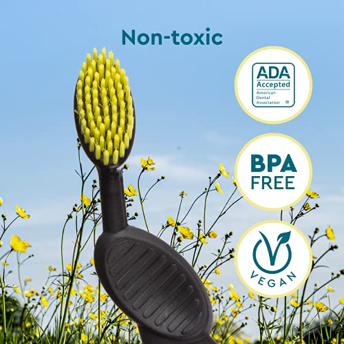 RADIUS Flex Brush - Soft Bristles, Ergonomic Design, ADA Accepted