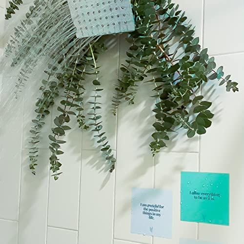 Waterproof Affirmation Cards for Positive Self-Care in the Shower