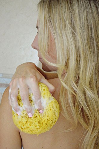 Evriholder GROOVI BEAUTY Foam Body Sponge – Pack of 2 Exfoliating Large Bath Scrubbers