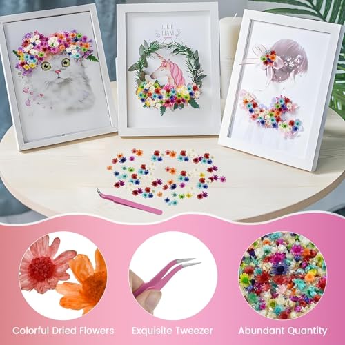 800 PCS Mini Dried Pressed Flowers for Crafting | Natural Real Flowers with Tweezers