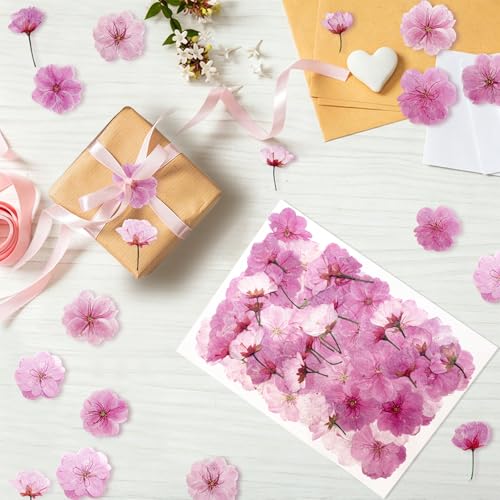 80 Pcs Natural Dried Cherry Blossoms - Edible Flower Decorations for Baking & Crafts
