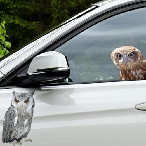 3D Realistic Owl Sticker Set - 20x20cm & 20x30cm Waterproof Vinyl Decals