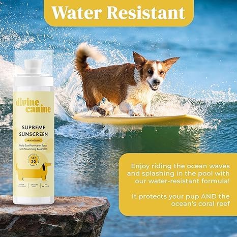 Divine Canine Dog Sunscreen Spray SPF 30 Water-Resistant 3.4 Oz