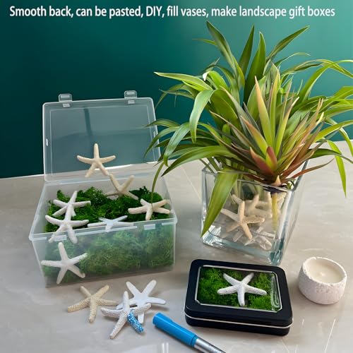Pack of 44 Artificial Resin Starfish Decorations - 1.2 Inch
