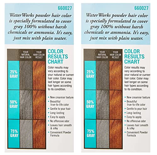 Water Works Permanent Powder Hair Color #27 Natural Light Brown - 0.21 oz (Pack of 2)