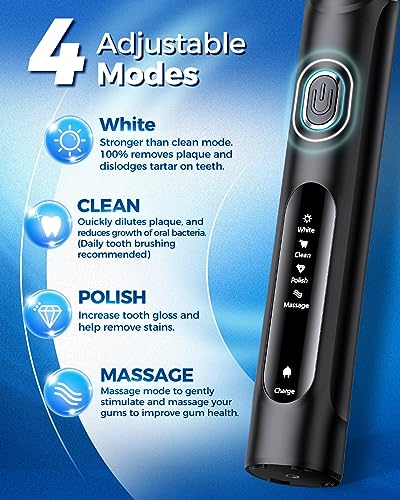TEETHEORY Rotating Electric Toothbrush with 8 Brush Heads, 4 Modes, Black