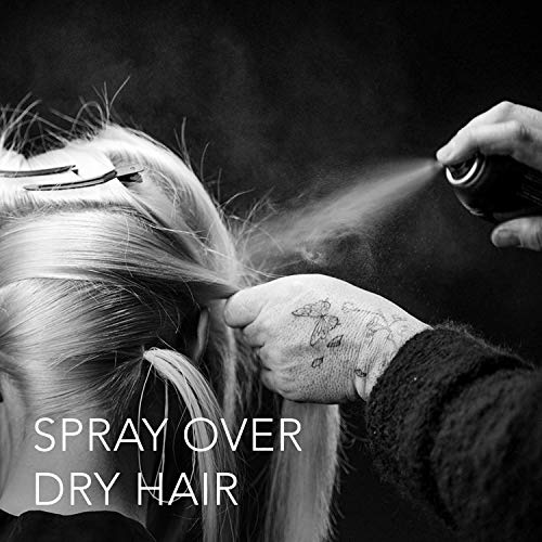 Sebastian Professional Shaper Fierce Hairspray - Strong All Day Hold