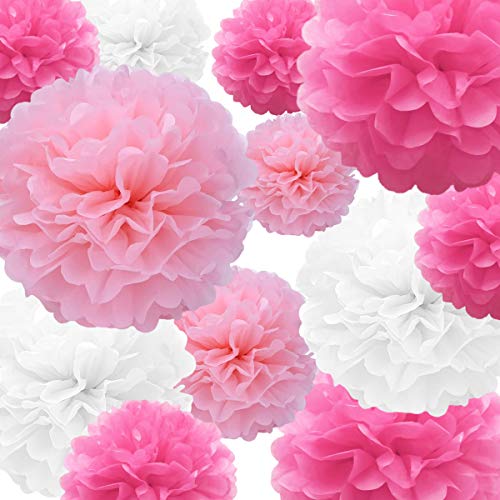 22 Pcs Tissue Paper Pompoms in Pink, Rose Red & White for Parties