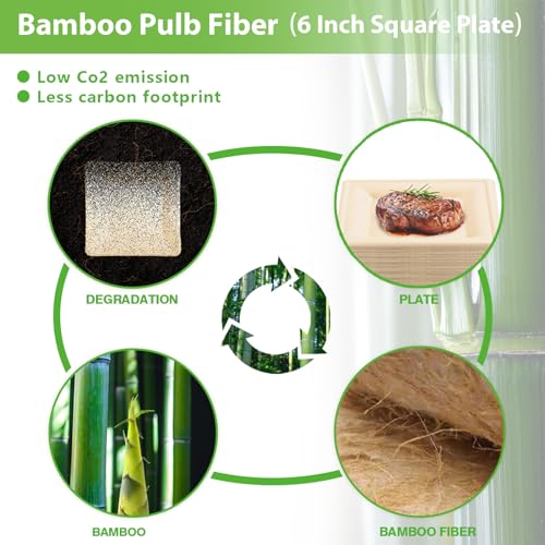 Eco-Friendly 6-Inch Disposable Paper Plates - 60 Pack, Biodegradable & Waterproof