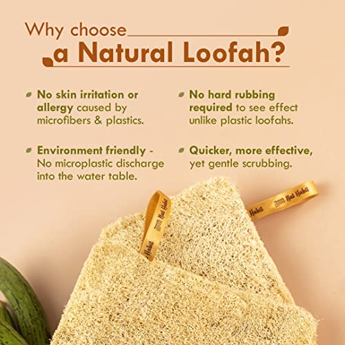 Nat Habit Natural Sun Dried Bath Loofah - Exfoliating Body Sponge (2 Pack)